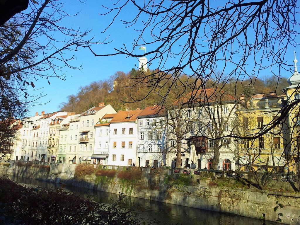 Studio Ian Ljubljana Bilik gambar